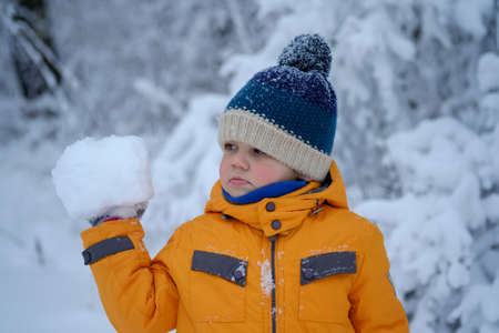 cute European boy walks and plays in the snow-covered winter forestの写真素材