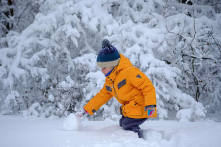 cute European boy walks and plays in the snow-covered winter forestの写真素材