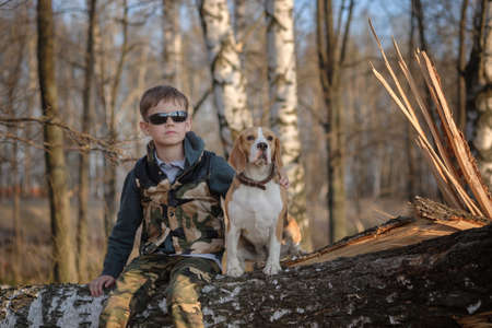 European boy and Beagle dog sit on a tree in the forest while walking in the eveningの写真素材