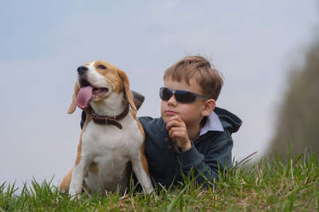 cute European boy lies on the grass with the Beagle dog during a walkの写真素材