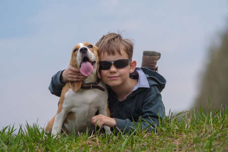 cute European boy lies on the grass with the Beagle dog during a walkの写真素材