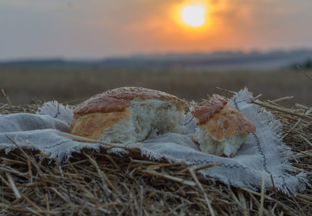 wheat bread in the fault on the straw in the field on the background of the sunset