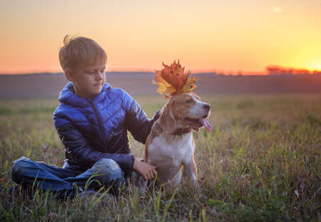 European boy and dog Beagle on a walk in the autumn evening at sunsetの写真素材