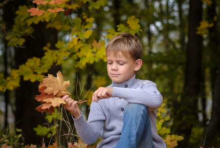 cute European boy in autumn Park with yellow foliageの写真素材