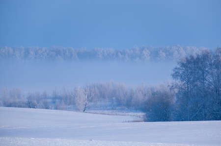 beautiful winter landscapeの写真素材