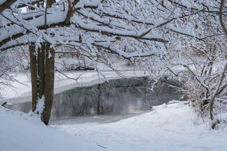 beautiful winter landscape with a view of snow-covered trees on the river bankの写真素材