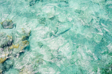 Surface of blue water reflecting the sun. The pacific ocean.