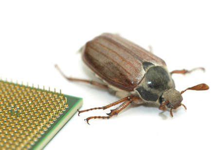 Microchip bug - large bug crawling by a  modern micropocessor chipの写真素材