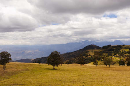 Open field landscape in cloudy day, Ecuadorの写真素材