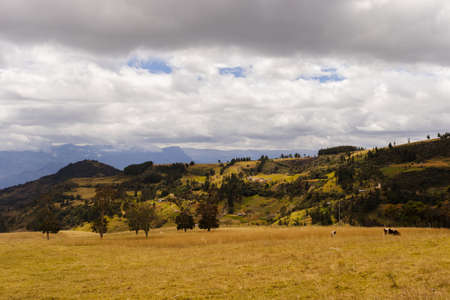 Open field landscape in cloudy day, Ecuadorの写真素材