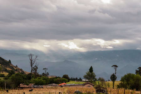 Open field landscape in cloudy day, Ecuadorの写真素材
