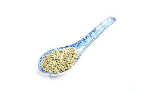 Spices: fennel, aniseの写真素材