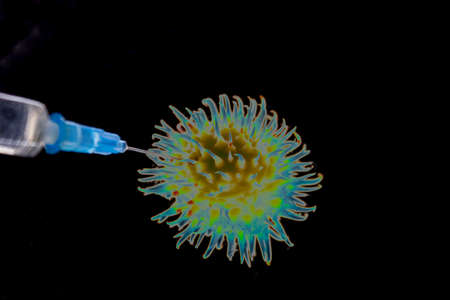 Coronavirus vaccination concept. A medical syringe injected into the body of the virus.の写真素材
