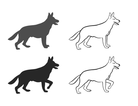 Sheepdog in different poses on an isolated backgroundのイラスト素材