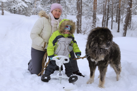 Grandmother and grandson in the winter forest. Near a large and kind Caucasian Shepherd Dogの写真素材