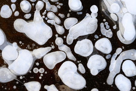 Air bubbles in the thickness of ice. Large, round and white.の写真素材
