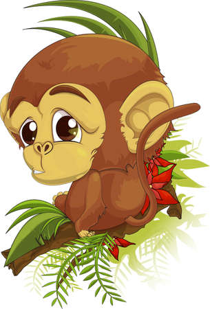 	monkeyの写真素材
