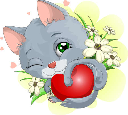 	kittenの写真素材
