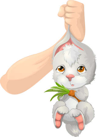 rabbitのイラスト素材