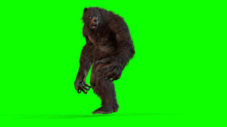 Bear 3d render imageの写真素材
