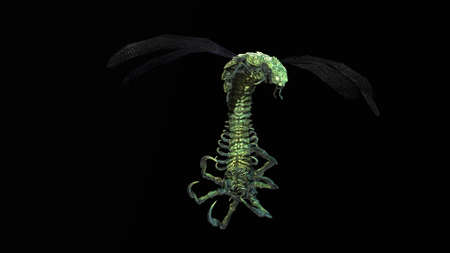 the evil bug 3d renderの写真素材