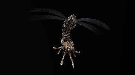 the evil bug 3d renderの写真素材