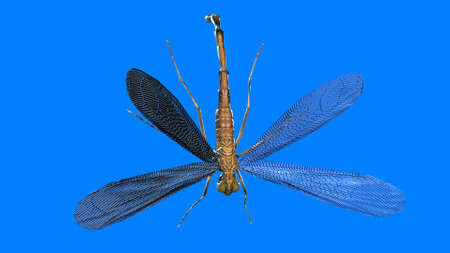 giant mosquito mutant 3d renderの写真素材