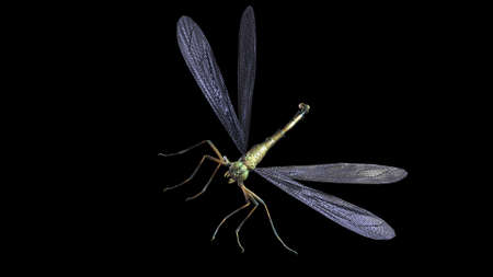 giant mosquito mutant 3d renderの写真素材