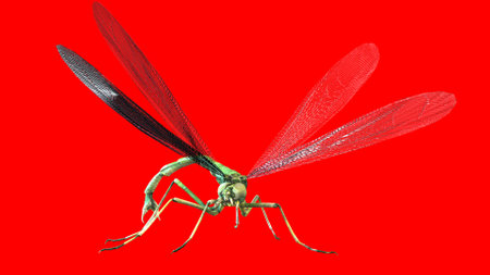 giant mosquito mutant 3d renderの写真素材