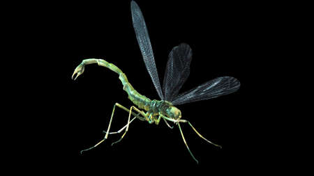 giant mosquito mutant 3d renderの写真素材