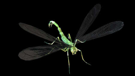 giant mosquito mutant 3d renderの写真素材