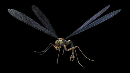 giant mosquito mutant 3d renderの写真素材