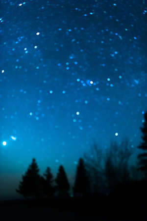 starry night sky violet blue color on a background of treesの写真素材