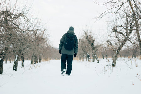 men walk in the winter garden, winter walking