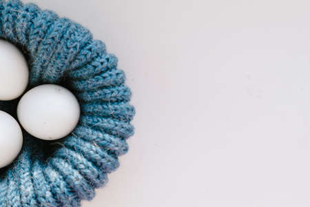 chicken eggs in a nest of blue, like a hatの写真素材