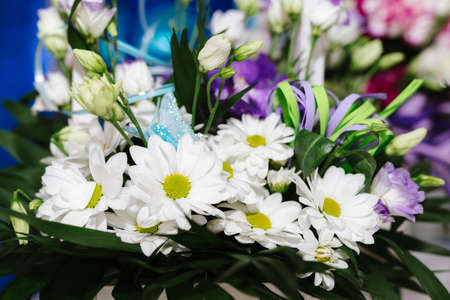 White daisies in a wooden basket, decoration for a weddingの写真素材