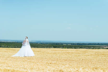 Fiance whirls a bride under the blue sky on the fieldの写真素材