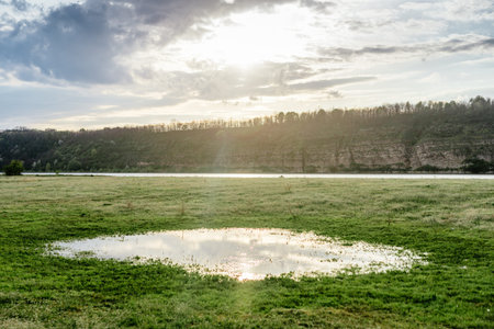 Spring landscape with green grass and a pond, rays of the sun