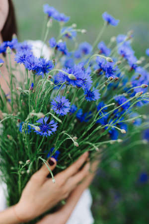 Series. Portrait of a beautiful romantic girl in a magical lavender field with a bouquet of lavenderの写真素材