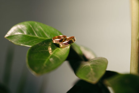 Beautiful wedding rings lie on a wooden surface against the background of a bouquet of flowers