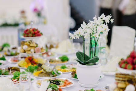 wedding decorations with flowers, decorations for celebrationsの写真素材