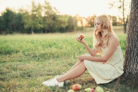 romantic girl in a dress near the tree with a basket of apples, in the setting sun of the summer sunの写真素材