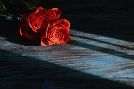 beautiful bouquet of red rose flowers on old blue wooden background, horizontal.の写真素材