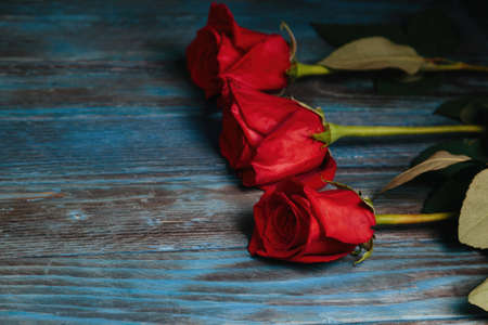 beautiful bouquet of red rose flowers on old blue wooden background, horizontal.の写真素材