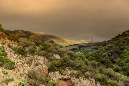 Sardinia forest mountains rocksの写真素材