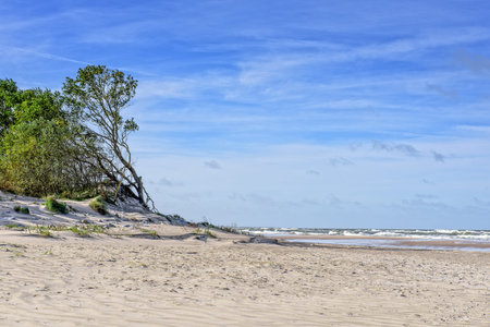 Beach Baltic Sea coastの写真素材