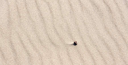 Stone sand beachの写真素材