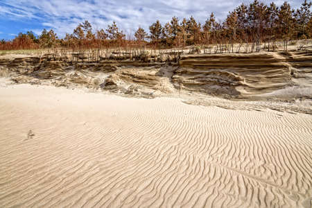 Baltic sea beach Duneの写真素材