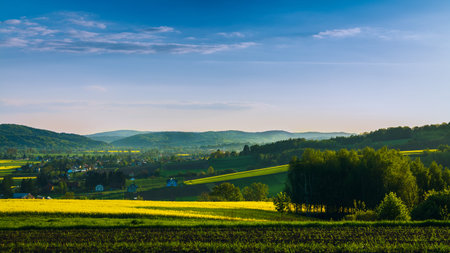 landscape in the mountains with blooming rapeseed