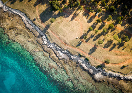 sea ??beach trees seen from the bird's eye viewの写真素材